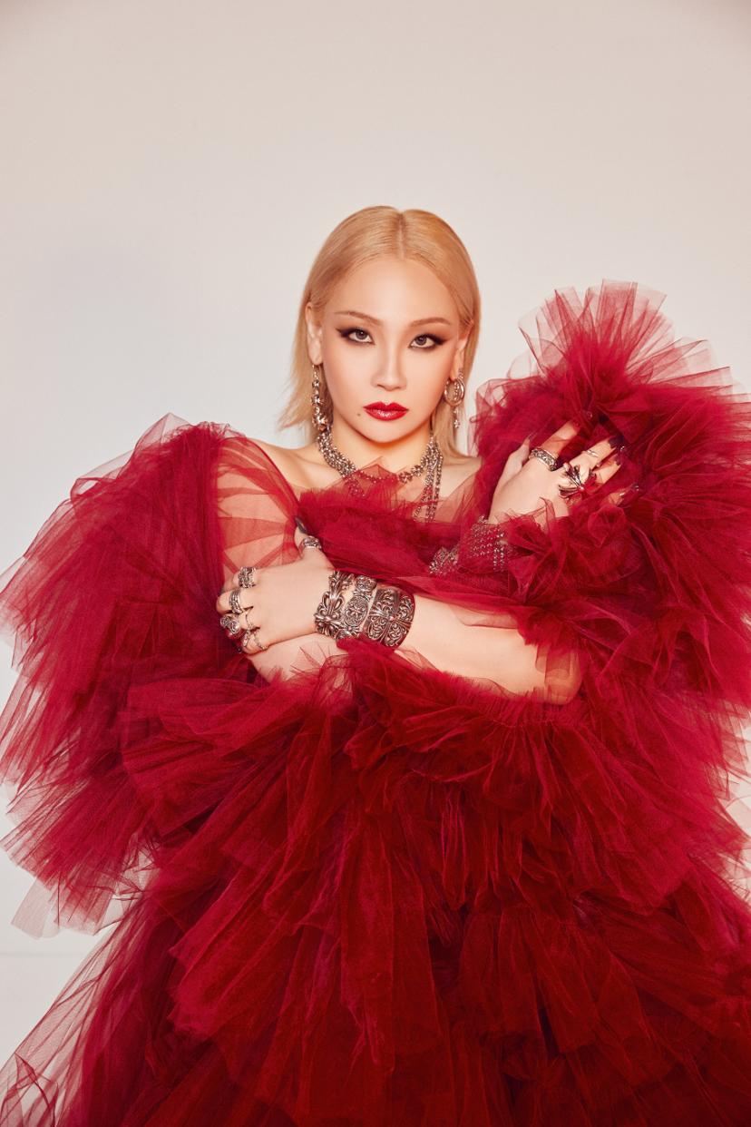 Cl Dj Booking this Artist
